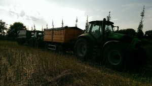 jeszcze żniwa z rzepaku