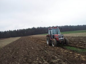 Massey Ferguson 294S