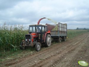 Massey Ferguson 255