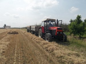 Zetor 8145