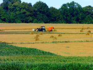 MTZ Belarus + Warfama