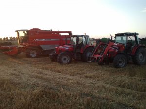 Massey Ferguson