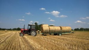 Ursus C-330 + Przyczepa samozaładowcza T-078