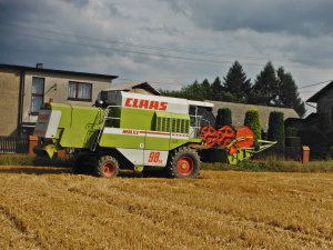 Claas