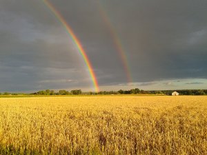 Podwójna tęcza