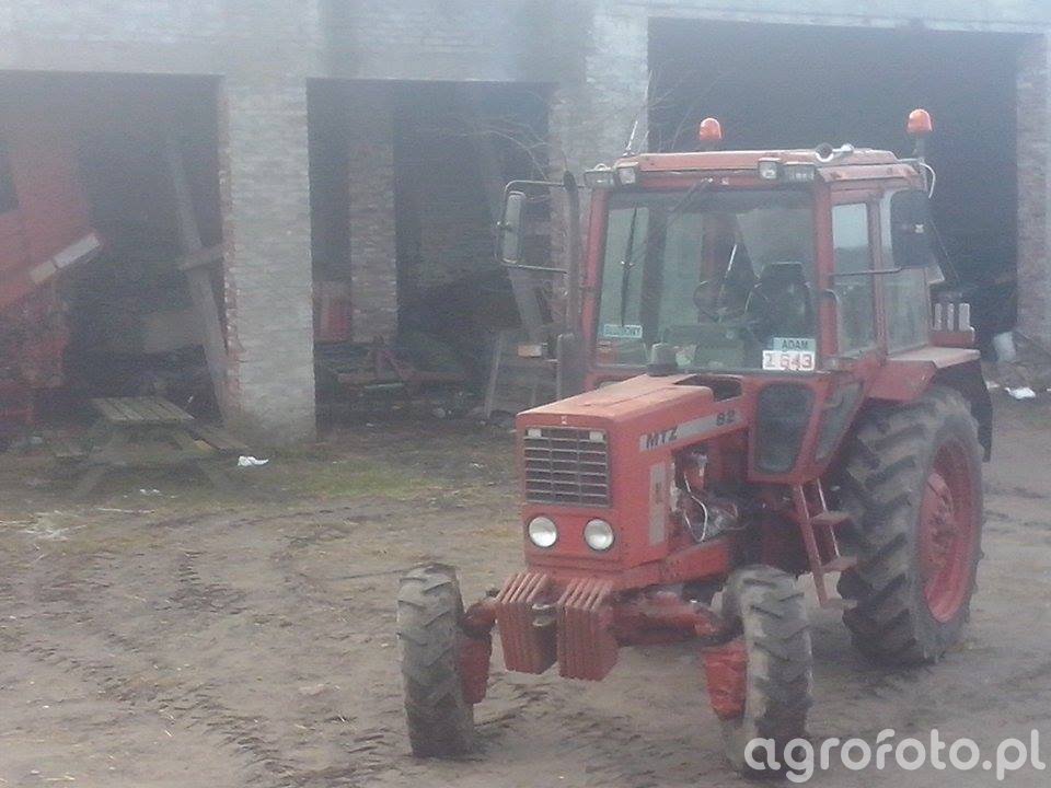 Obraz traktor Mtz 82 id:537119 - Galeria rolnicza agrofoto