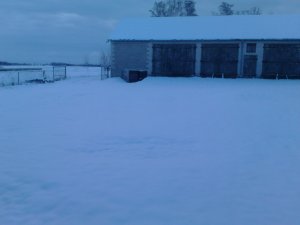 Zima