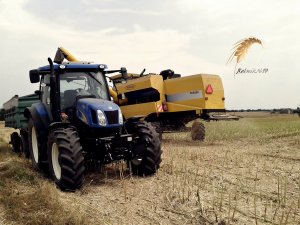 New Holland T6020