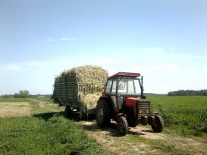 Przyczepa Samozbierająca T010/1