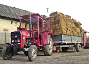 Massey Ferguson 255 + Agromet N233