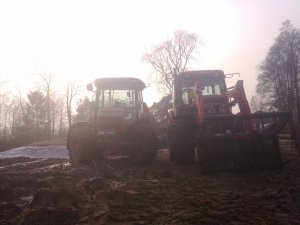 MF 3635 & Zetor Proxima 8441