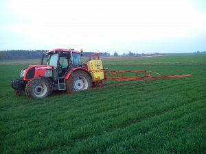 Zetor Proxima 85 i Rau D2