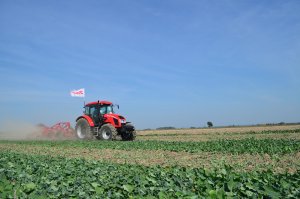 Zetor Forterra 135 16V