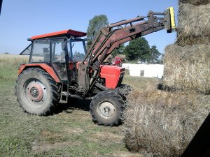 Mtz 82