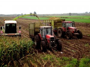 Claas Jaguar 840