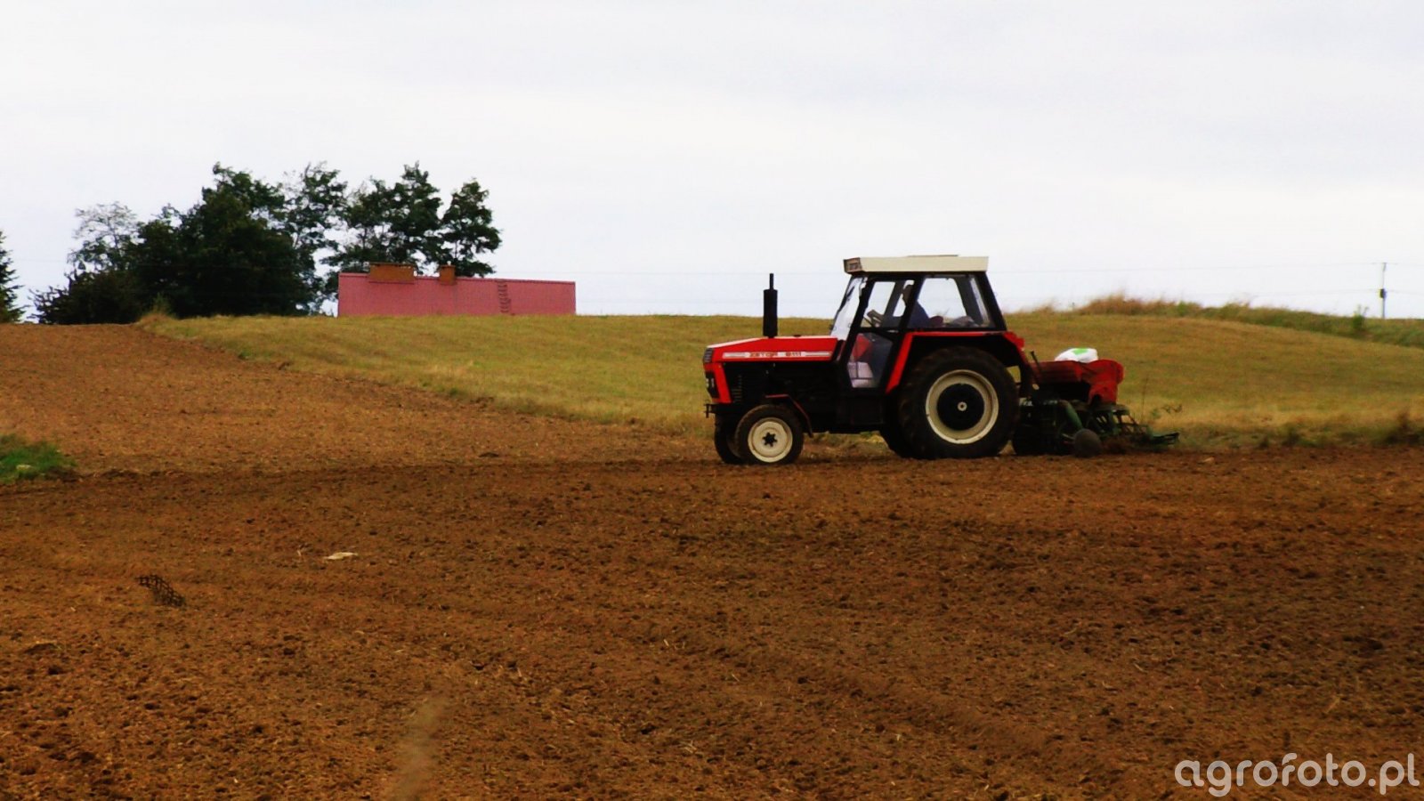 Obraz ciagnik Zetor 8111 #457252 - Galeria rolnicza agrofoto