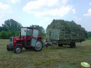 Massey Ferguson 255 + przyczepa samozbierająca