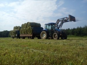 New Holland td80d