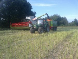 Claas Lexion 650 i DF