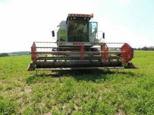 Claas Dominator Mega 218