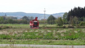 Grimme Rexor 620