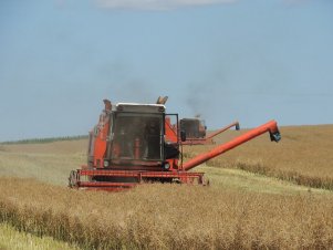 2x Bizon Rekord Z058