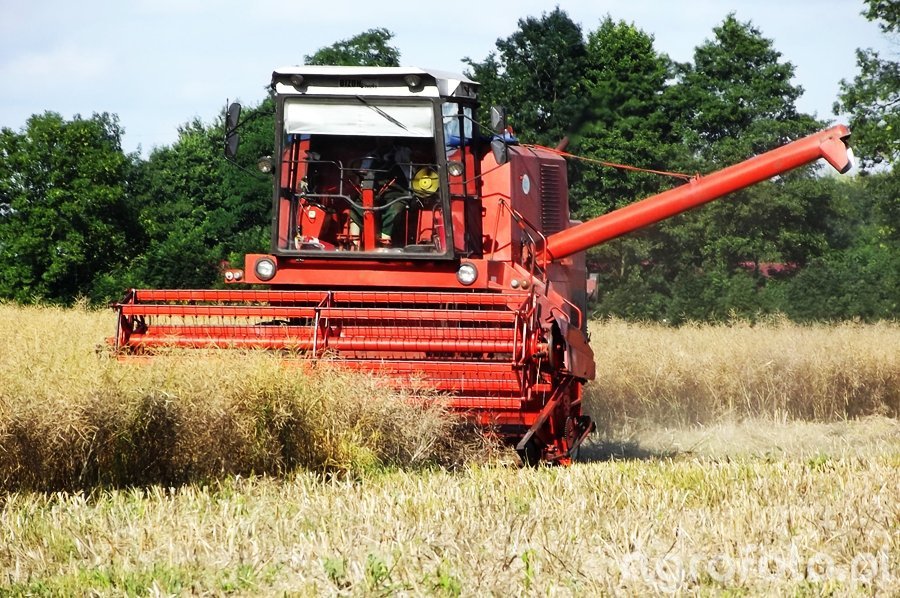 Kombajn Bizon Z056 - foto #449957 - Galeria rolnicza agrofoto