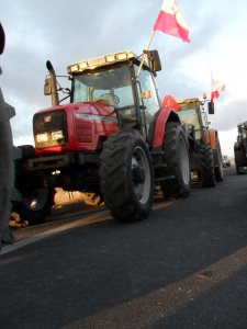 Strajk w Radzyniu Podlaskim