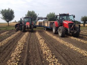 Massey Ferguson 5445 i 6465