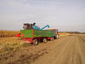 Zetor 12441 + Warfama T0-42 + Pronar