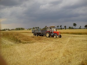 Ursus C-360 + Warfama T-041