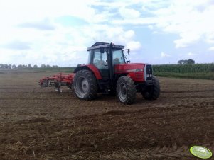 Massey Ferguson 8130 + Agregat Ścierniskowy 2.6