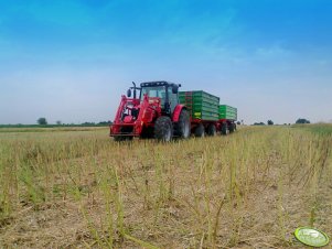 Massey ferguson 5435 + Pronar T672 + Unia 10t