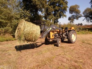 Ursus c360  TUR 2b