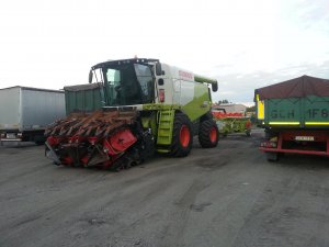 Claas Lexion 660 + przystawka do QQ Dominoni 8 rzędów+ heder V750