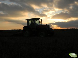 Massey Ferguson 3080 & Stal Tech U006