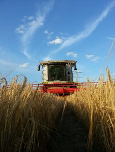 Claas Lexion 660
