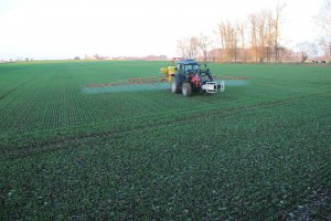 Pszenżyto Atletico 31.10.2013