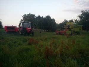 Zetor 7211 + Sipma Z-224/1