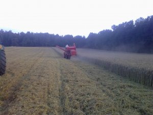 Massey Ferguson 31