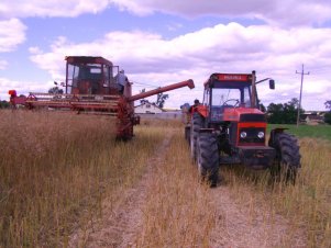 Bizon Z056 & Ursus 1222