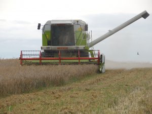 Claas Mega 204