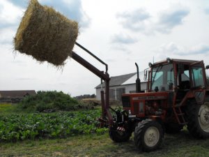 MTZ 82 BELARUS