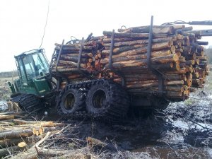 Timberjack 1110D