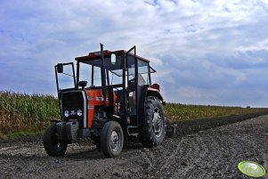 Massey Ferguson 255 + Pług 3 skibowy i brony