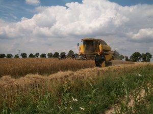 New Holland TC5070