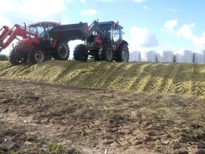 Massey Ferguson 3050 & Zetor Proxima 8441