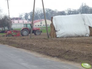 Massey Ferguson + agregat uprawowo-siewny