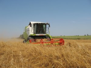 Claas Tucano 320