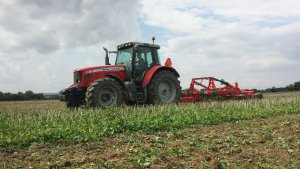 Massey Ferguson 6480 Unia Cross L